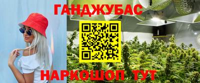 mdpv Лесосибирск